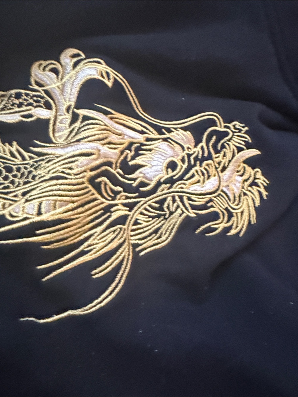 Koisea Hoodie with Gold Embroidered Dragon